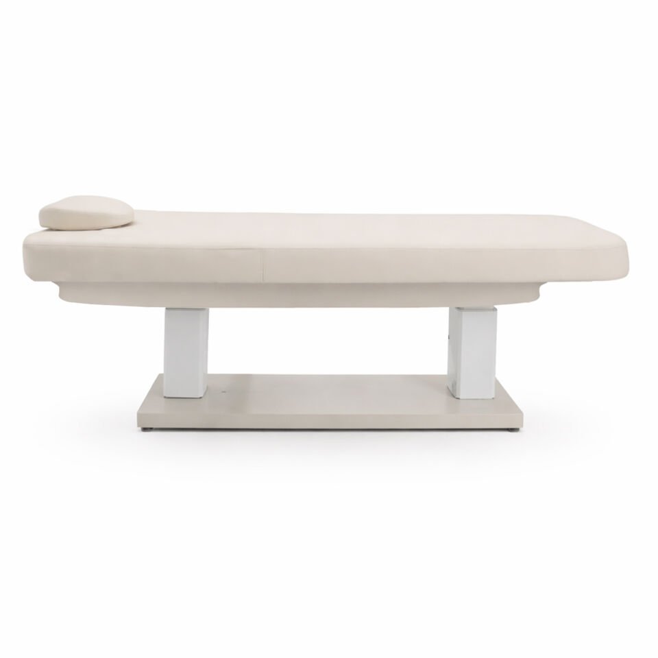 Lyre Basic Cilt Bakım, Masaj ve Terapi Yatağı (3 Motorlu)